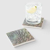 多肉性フラクタル ストーンコースター (横)