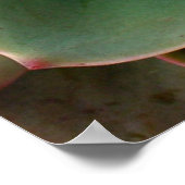 多肉性プリント2 ポスター (角)