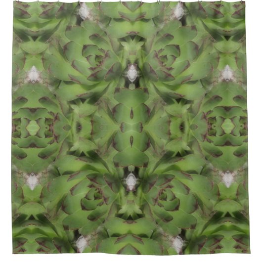 多肉性ヘンズアンドチックス抽象芸術 シャワーカーテン (正面)