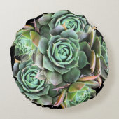 多肉性枕が植えられている場所で成長する ラウンドクッション (裏面)