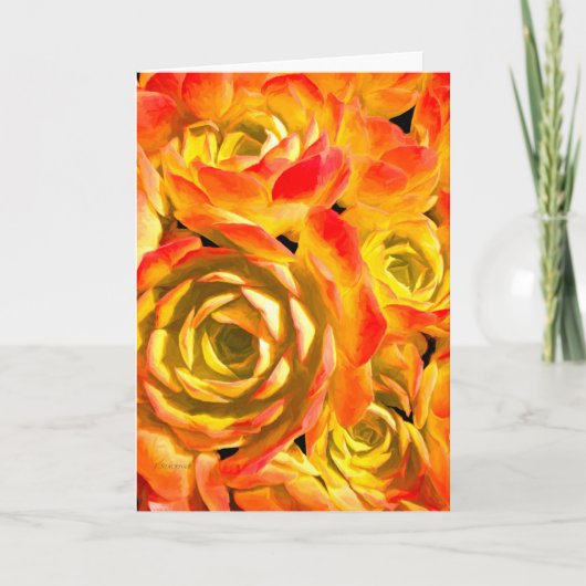 多肉性湿疹植物 カード (正面)