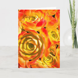 多肉性湿疹植物 カード