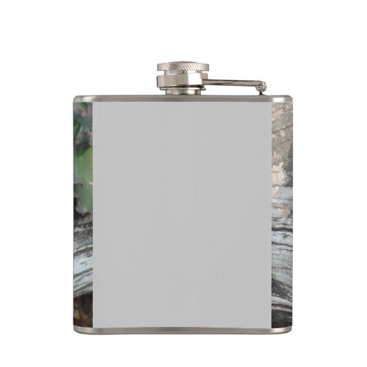 多肉性湿疹 フラスク (裏面)