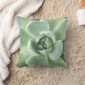 多肉性空腸 クッション (ブランケット)