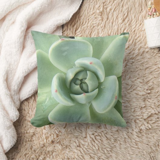 多肉性空腸 クッション (ブランケット)