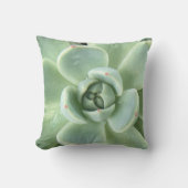 多肉性空腸 クッション (正面)