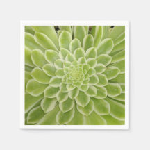 多肉性紙ナプキン