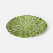 多肉性紙プレート ペーパープレート (アングル)