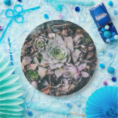 多肉性紙プレート ペーパープレート (パーティー)