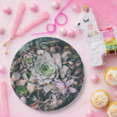 多肉性紙プレート ペーパープレート (パーティー)