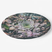 多肉性紙プレート ペーパープレート (アングル)