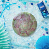 多肉性紙プレート ペーパープレート (パーティー)