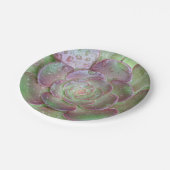 多肉性紙プレート ペーパープレート (アングル)