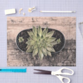 多肉性素朴ヴィンテージグリーンボタニカルデクページ 薄葉紙 (クラフト)