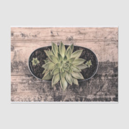 多肉性素朴ヴィンテージグリーンボタニカルデクページ 薄葉紙