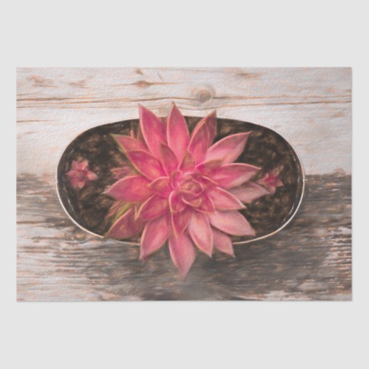 多肉性素朴ヴィンテージピンク植物分身 薄葉紙 (正面)