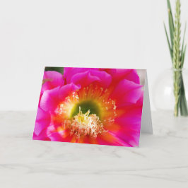 多肉性花マクロ カード