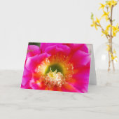 多肉性花マクロ カード (黄色い花)