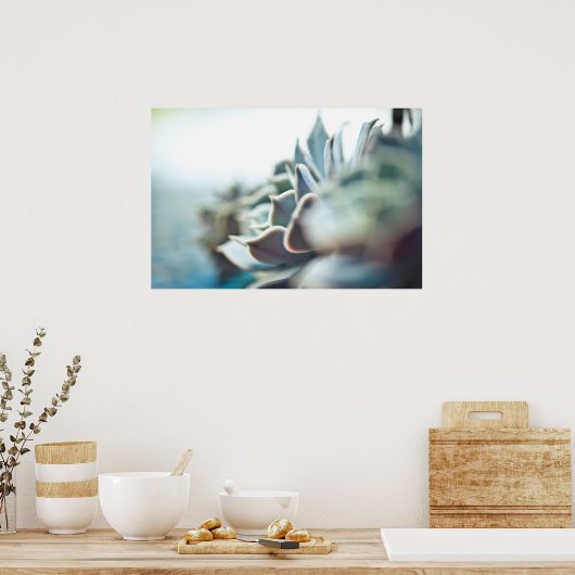 多肉性虚血 ポスター (キッチン)