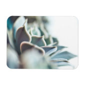 多肉性虚血 マグネット (横)