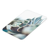 多肉性虚血 マグネット (左側)