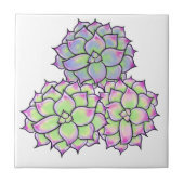 多肉性開花 タイル (正面)