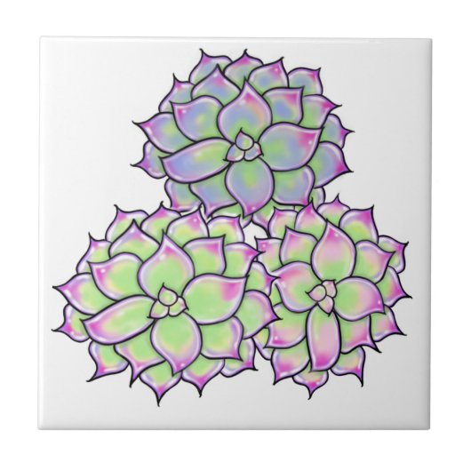 多肉性開花 タイル (正面)