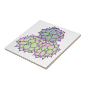 多肉性開花 タイル (側面)