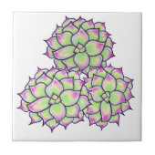 多肉性開花 タイル (正面)