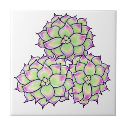 多肉性開花 タイル (正面)