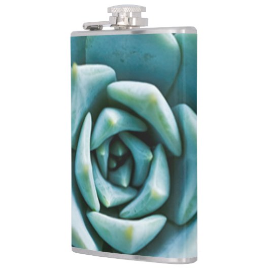 多肉接写 フラスク (左)