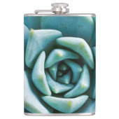 多肉接写 フラスク (正面)