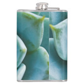 多肉接写 フラスク (裏面)