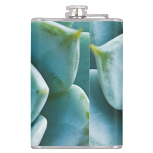 多肉接写 フラスク (裏面)