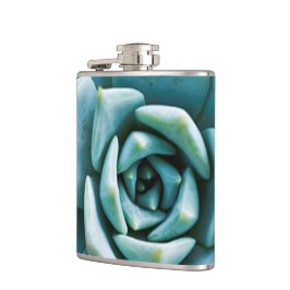 多肉接写 フラスク