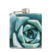 多肉接写 フラスク (正面)