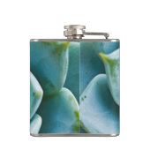 多肉接写 フラスク (裏面)