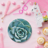 多肉接写 ペーパープレート (パーティー)