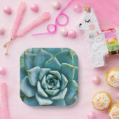 多肉接写 ペーパープレート (パーティー)