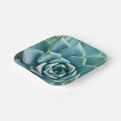 多肉接写 ペーパープレート (傾斜あり)