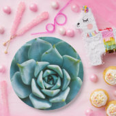 多肉接写 ペーパープレート (パーティー)