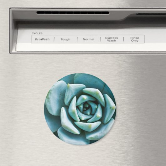 多肉接写 マグネット (インサイチュ (食洗機))