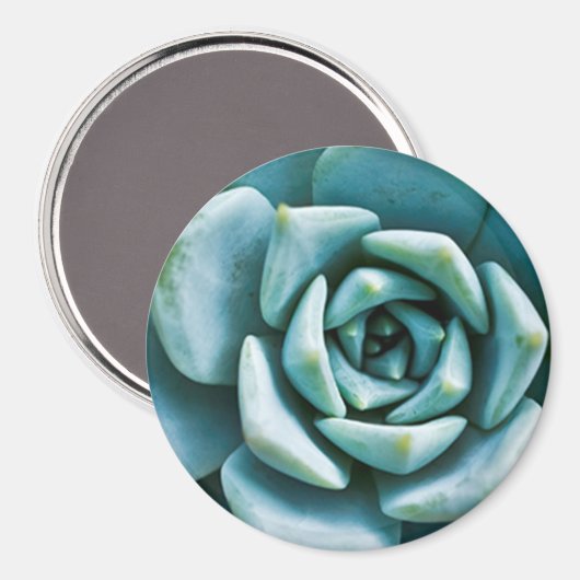 多肉接写 マグネット (正面/裏面)