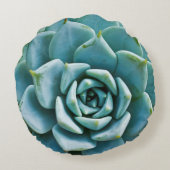 多肉接写 ラウンドクッション (裏面)