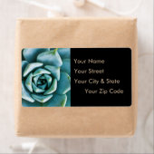 多肉接写 ラベル (インサイチュ)