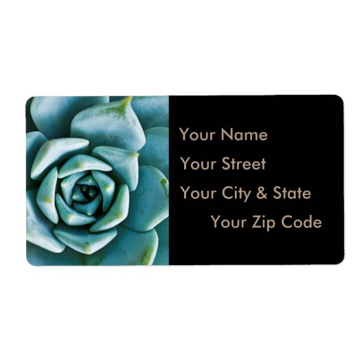 多肉接写 ラベル (正面)