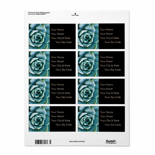 多肉接写 ラベル (フルシート)