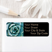 多肉接写 ラベル (インサイチュ)