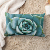 多肉接写 ランバークッション (ブランケット)