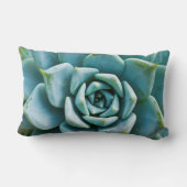 多肉接写 ランバークッション (裏面)